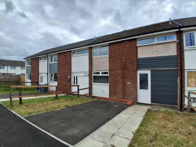 3 bedroom house to rent