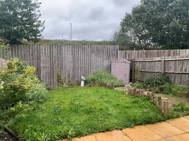 3 bedroom house to rent