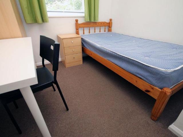 3 bedroom house to rent