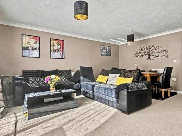 3 bedroom house to rent
