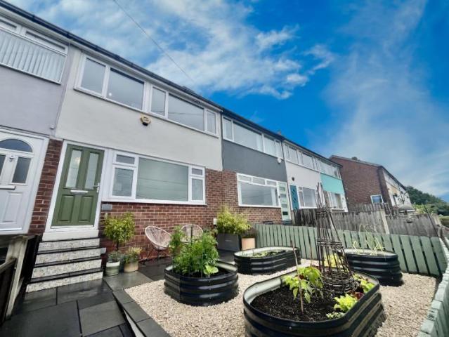 3 bedroom house to rent