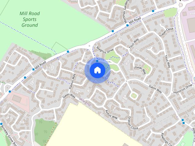 3 bedroom house to rent