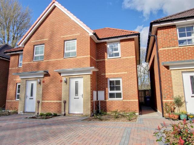 3 bedroom house to rent