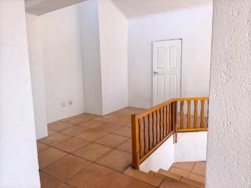 3 Bedroom House To Rent in Westdene