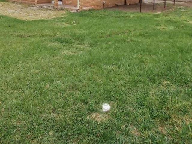 3 Bedroom House to Rent in Barry Hertzog Park