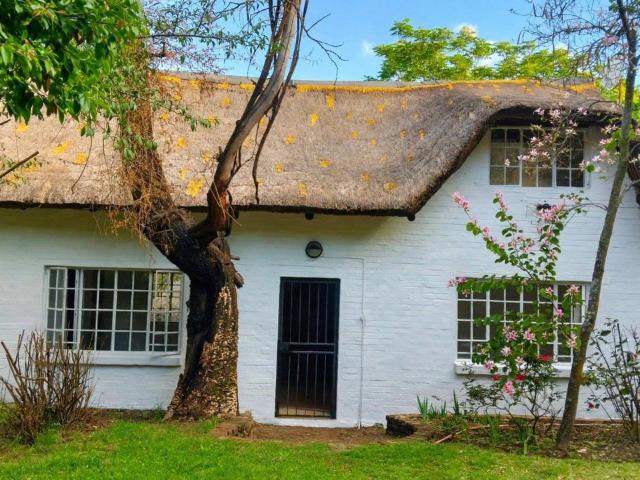 3 Bedroom House to Rent in Honeydew