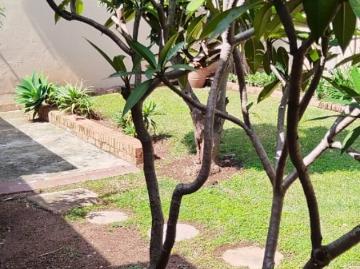 Linden, City of Johannesburg Metropolitan Municipality, City of Johannesburg Metropolitan Municipality, Gauteng, South Africa