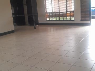 3 Bedroom House To Rent in Montrose
