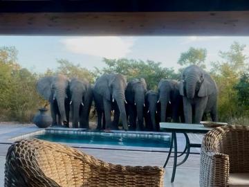3 Bedroom House To Rent in Moditlo Nature Reserve