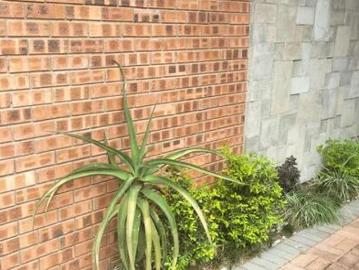 3 Bedroom House to Rent in Sonheuwel Ext 1