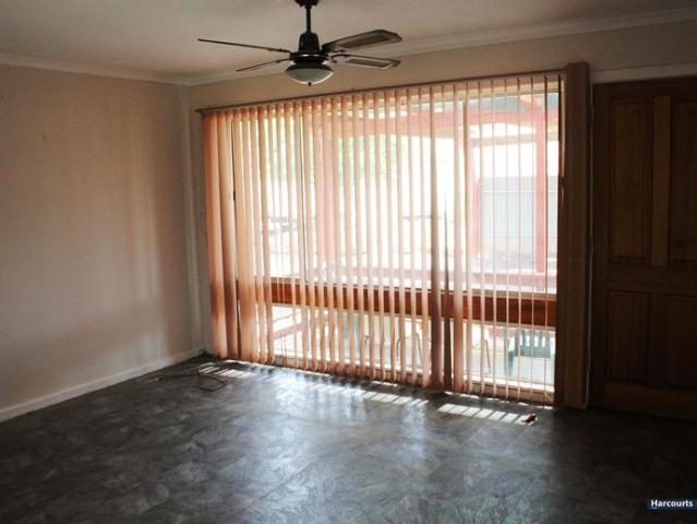 3 Bedroom Home with Large Shed