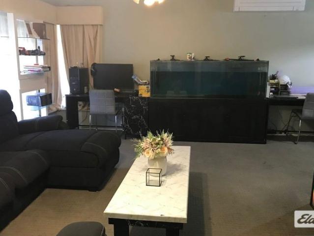 3 Bedroom Home with Shedding