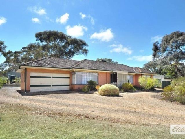 3 Bedroom Home with Shedding
