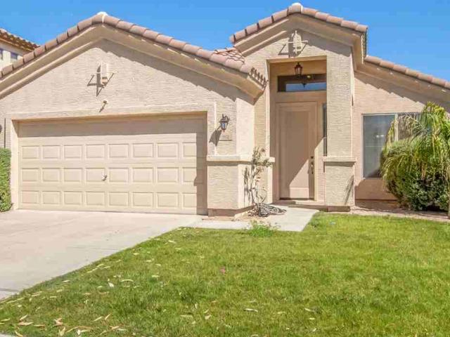 3 Bedroom Home for Rent at 962 W Desert Broom Ct, Chandler, AZ 85248