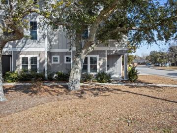 Steep Pines Fork, Beaufort town, Carteret County, North Carolina, USA