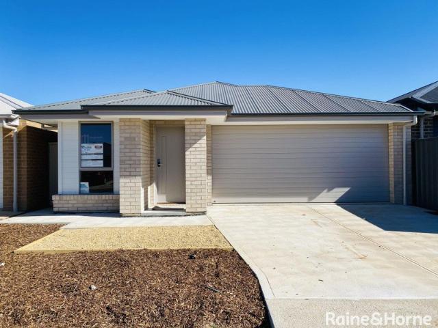 3 Bedroom home in Munno Para!