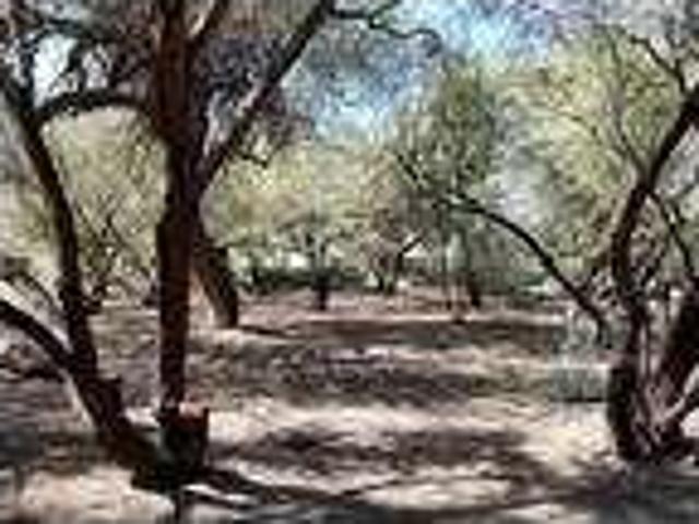 3 Bedroom Homes For Rent Buckeye Arizona