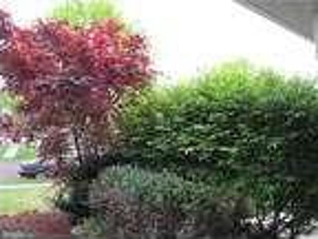 3 Bedroom Homes For Rent Perkasie Pennsylvania