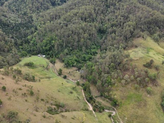 3 Bedroom House Lower Creek NSW 101908990
