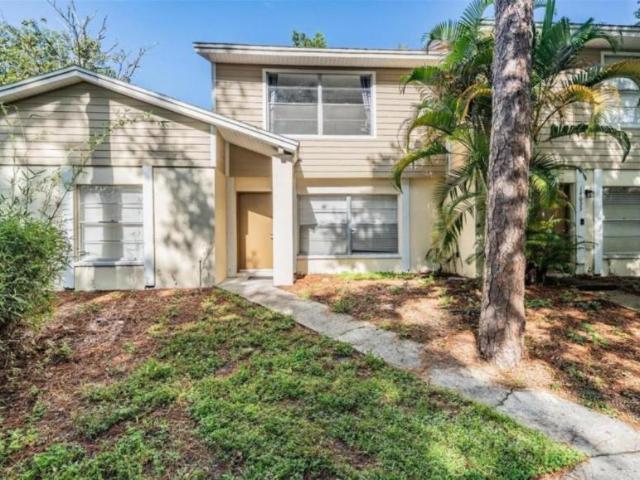 3 bedroom, Lutz FL 33559 103387427