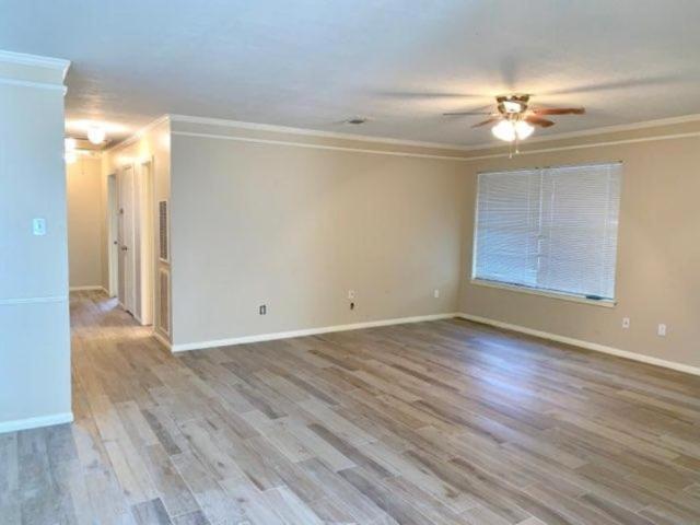 3 bedroom, Missouri City TX 77489 104485298