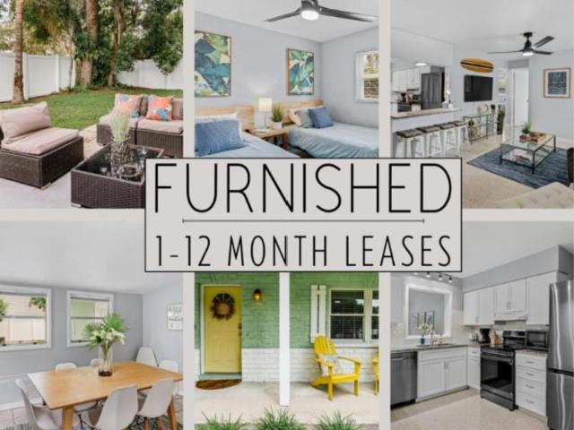 3 bedroom, Safety Harbor FL 34695 105901623