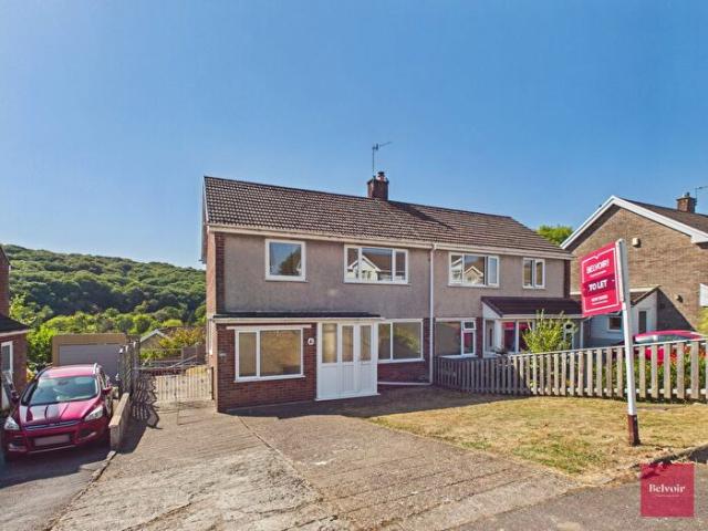 3 Bedroom Semi Detached House To Rent In Gwern Einon Road, Derwen Fawr, Swansea, SA2