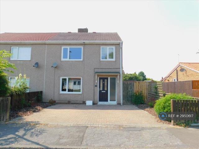 3 bedroom semi detached house to rent