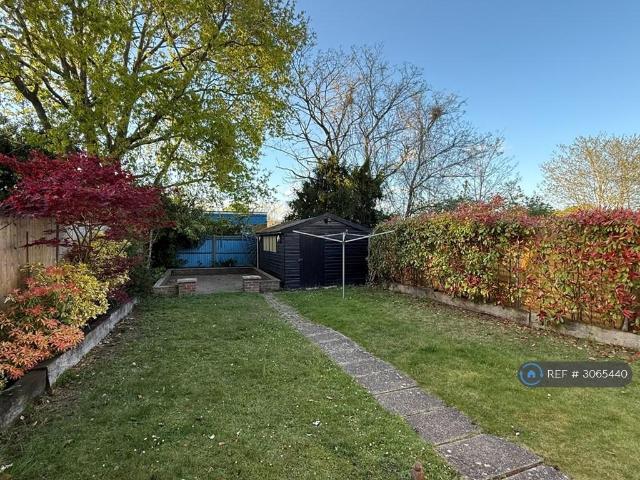 3 bedroom semi detached house to rent