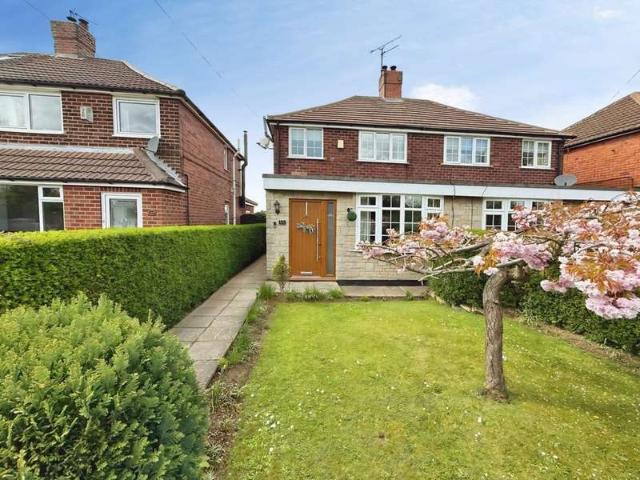 3 Bedroom Studio Flat