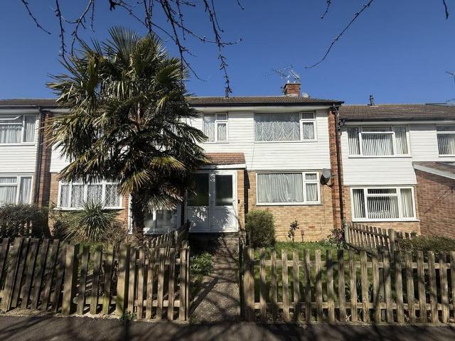 3 bedroom property to rent