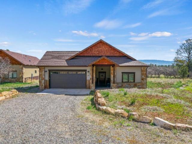 3 bedroom, Ridgway CO 81432 LS105522593