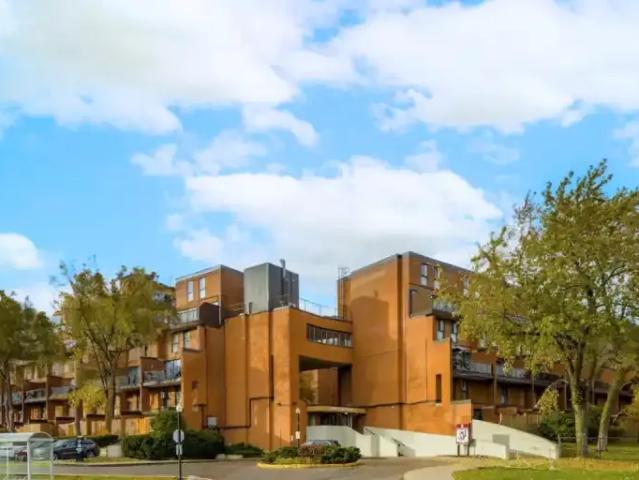 3 Bedroom Townhouse Brampton ON 104875692