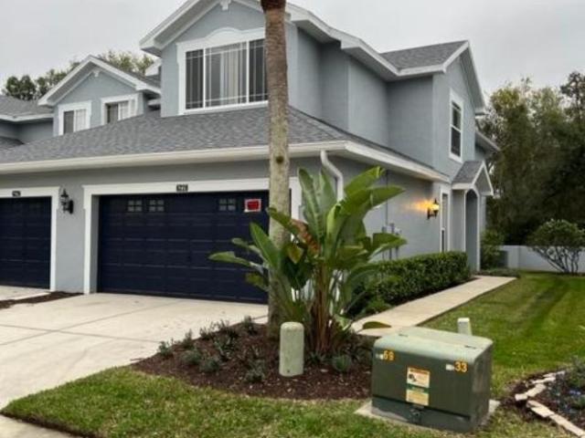 3 bedroom, Tampa FL 33625 105942933