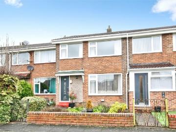 North East, North England - Garden, Fireplace
