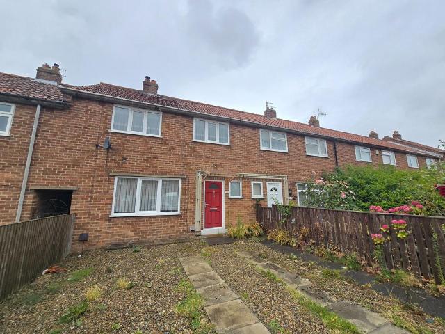 3 bedroom terraced house to rent