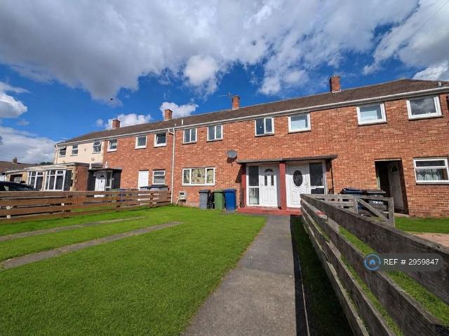 3 bedroom terraced house to rent
