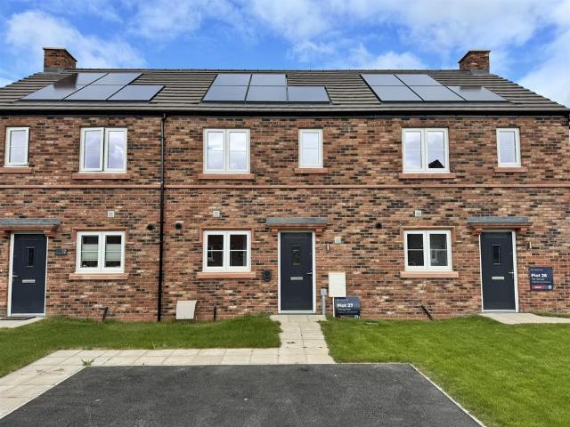 3 bedroom terraced house to rent