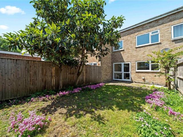 3 bedroom terraced house to rent
