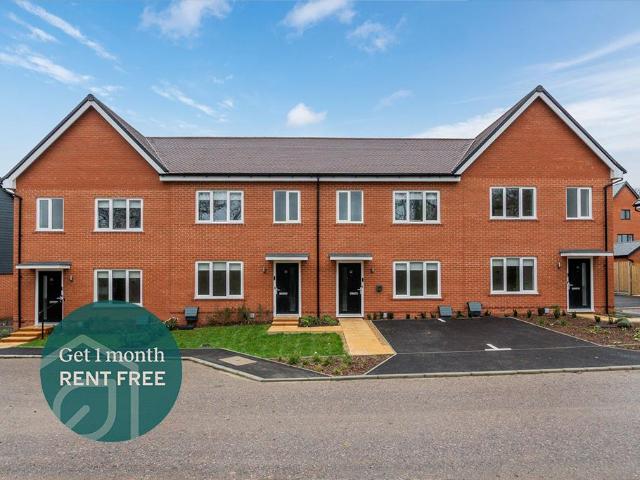 3 bedroom terraced house to rent