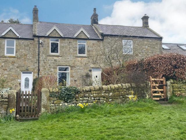 3 bedroom terraced house to rent