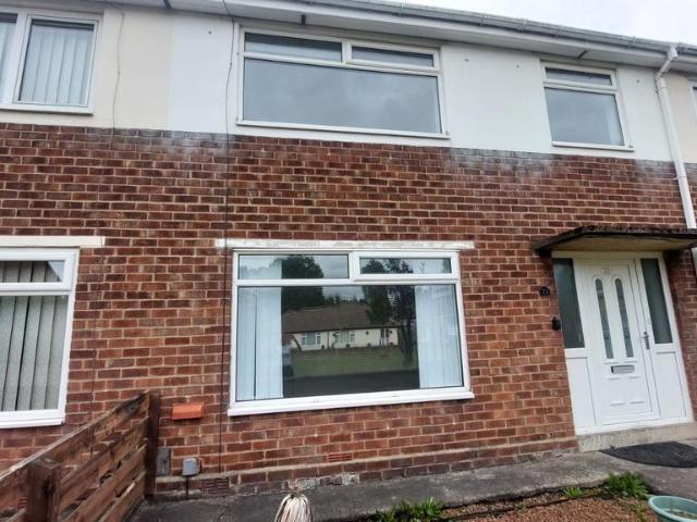 3 bedroom terraced house to rent