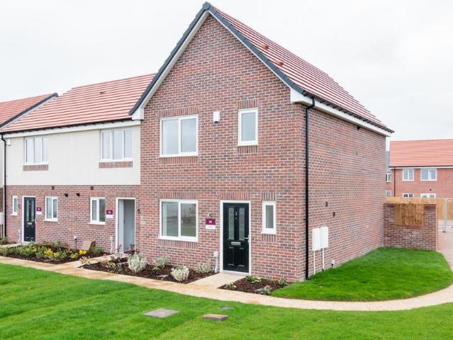 3 bedroom terraced house to rent