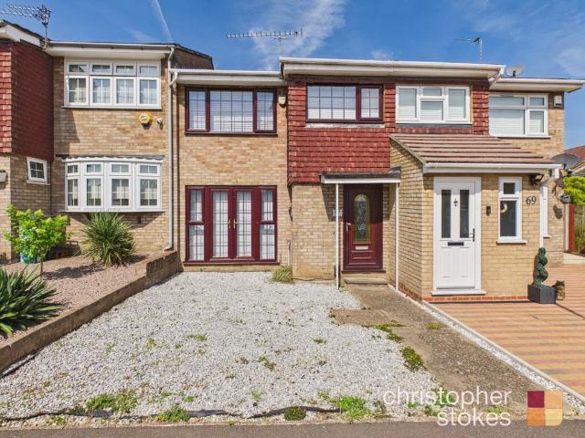 3 bedroom terraced house to rent
