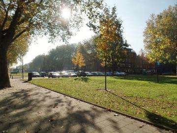 Spoorsingel, Provenierswijk, Gemeente Rotterdam, Zuid-Holland