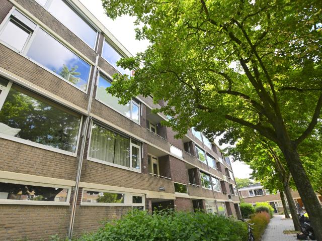 3 bedrooms Appartement Surface Area: 64m2