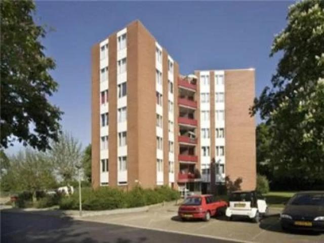 3 bedrooms Appartement Surface Area: 75m2