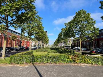 Olland, Meierijstad, Noord-Brabant
