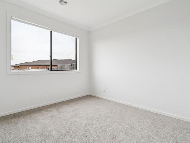 3 Betoota Avenue