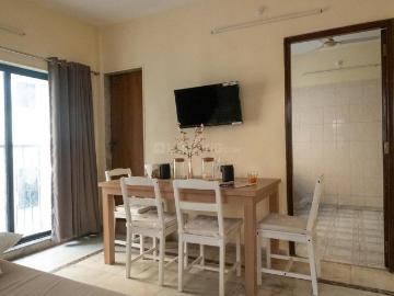 Navi Mumbai, Thane District, Maharashtra